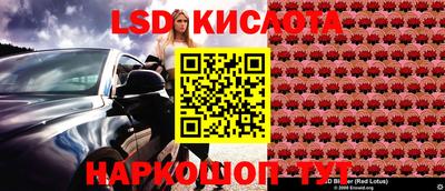 стаф Бузулук