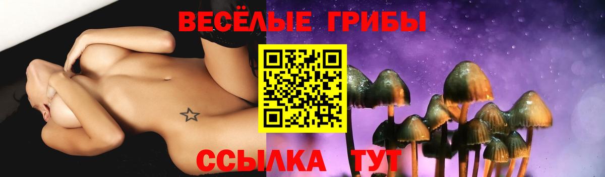 Осинники  где найти   Вход с VPN  Галлюциногенные грибы Psilocybe  Галлюциногенные грибы MAGIC MUSHROOMS 